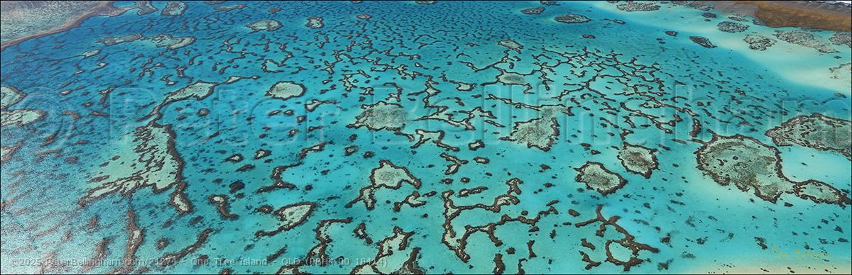 Peter Bellingham Photography One Tree Island - QLD (PBH4 00 18414)